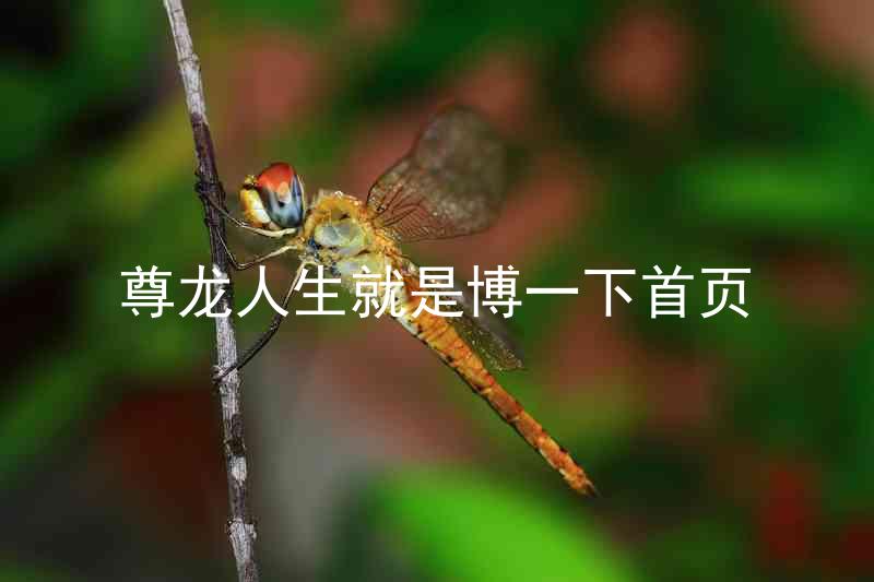 尊龙人生就是博一下首页