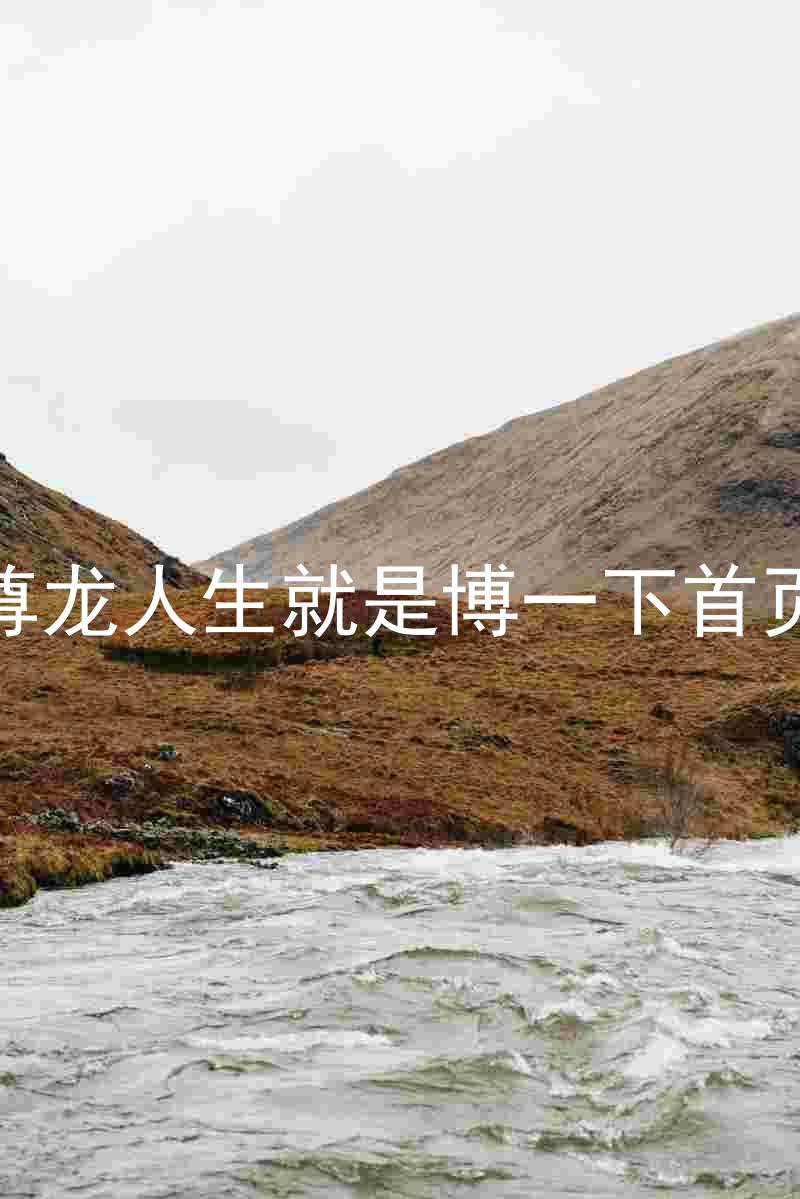 尊龙人生就是博一下首页