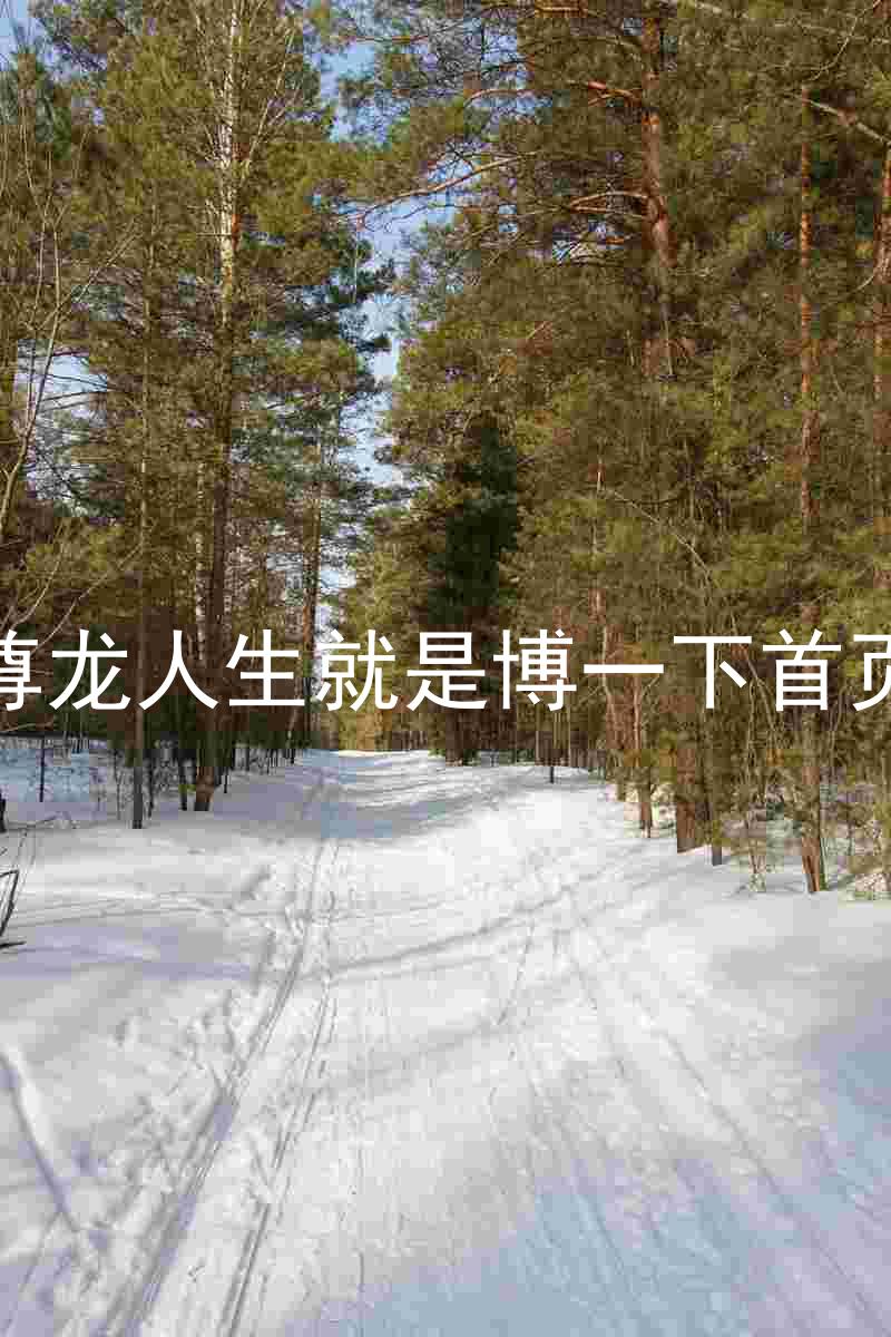 尊龙人生就是博一下首页