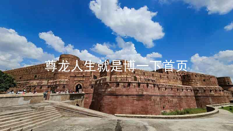 尊龙人生就是博一下首页