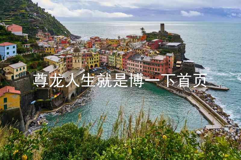 尊龙人生就是博一下首页