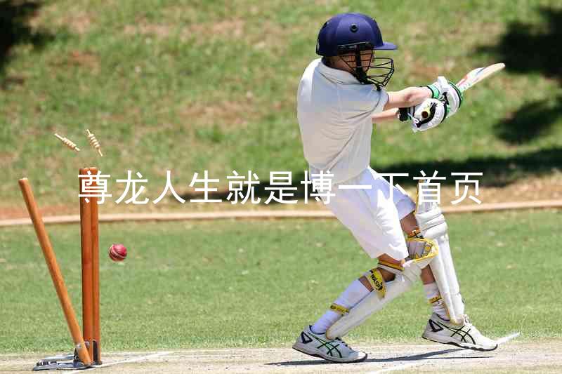 尊龙人生就是博一下首页