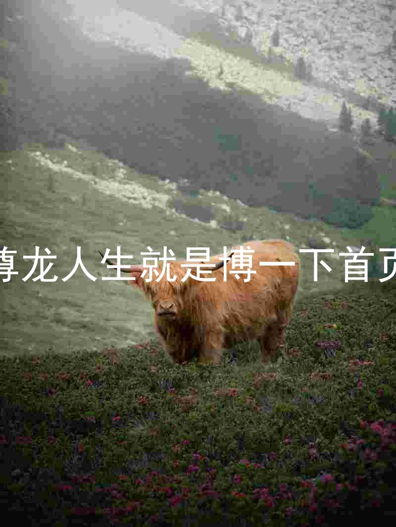 尊龙人生就是博一下首页